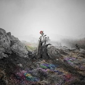 音乐学院美女被轮文音
