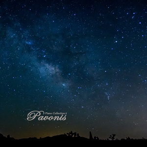 音乐学院美女被轮文音
