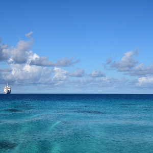 音乐学院美女被轮文音
